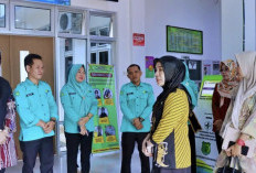 Plt Kadinkes Muba Tinjau Pelayanan di Puskesmas Ulak Paceh