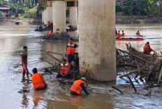 Bersihkan Sampah, Ranting dan Kayu Besar Nyangkut di Kaki Jembatan Lama Muara Rupit 