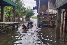 Hujan Deras, Ribuan Rumah Terendam Air, Termasuk Akses Jalan 