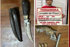Gara-Gara Ribut di Rumah Makan, Pemuda Simpang Tungkal Terancam 20 Tahun Penjara Akibat Simpan Senpi Rakitan