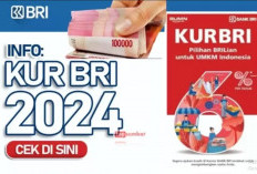 KUR BRI, Jadi 