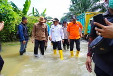Wabup Rohman Tinjau Langsung Kondisi Korban Banjir Tungkal Jaya di Tengah Kemacetan Panjang