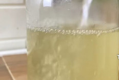 Manfaat Cuka Apel: Dari Dapur hingga Kesehatan Holistik