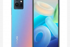 Vivo Y55T: Andalan Kelas Menengah dengan Chipset Bertenaga dan Desain Memukau