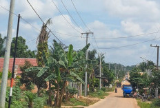 Listrik di Desa Nusa Serasan  Segera Beralih dari MEP ke PLN