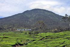 Para Pendaki Mohon Maaf, Jalur Pendakian Gunung Dempo Ditutup Sementara!