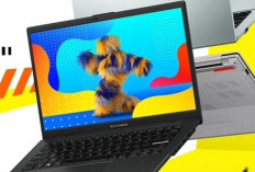 ASUS VivoBook Go 15 OLED,  3 Keunggulan Utama yang Memukau!