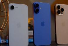 iPhone 16 Refurbished Resmi Dijual Apple, Kini Bisa Dimiliki Mulai Rp 10 Jutaan