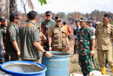 Pj Gubernur Elen Setiadi Bersama Kepala BNPB Pusat Tinjau Titik Karhutla Sekaligus Serahkan Bantuan