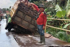 Jembatan Penghubung Antar Desa Rusak Parah, Warga Desa Bumi Agung OKI Merasa Resah 