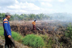 Meski Masuk Musim Hujan, Wilayah Kabupaten OKI Masih Ditemukan Karhutla