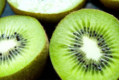 Buah Favorit Kalian Bukan Nih? Kiwi: Superfood yang Lezat dan Kaya Manfaat untuk Kesehatan