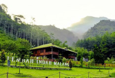 Gunung Kawi Malang, Destinasi Wisata Alam Lengkap dengan Pesona Budaya dan Edukasi yang Kian Diminati
