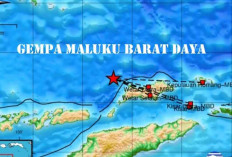 Beberapa Daerah Terjadi Gempa, Berikut Wilayahnya 