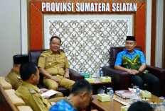 Wagub Sumsel Cik Ujang Dipercaya Jadi Dewan Penasehat ICMI Orwil Sumsel