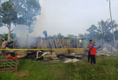 Dua Rumah Panggung di Ogan Ilir Hangus Terbakar, Polsek Tanjung Raja Bergerak Cepat