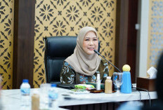 Ketua TP PKK Sumsel Feby Deru , Masuk 10 Besar Finalis DPD Award 2025 Kategori Ekonomi Kreatif