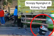 Pengendara Scoopy Masuk Kolong, Usai Tabrak Truk Tengah Parkir di Bahu Jalan