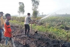 Karhutla di Pedamaran Timur, 2 Helikopter Lakukan 30 Waterbombing