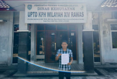 Putra Asli Muratara Desak Investigasi Oknum Kehutanan Terlibat Tambang Ilegal