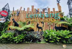 5 Rekomendasi Wisata di Lembang yang Wajib Dikunjungi