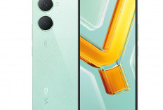 Vivo Y03 Performa Andal untuk Penggunaan Sehari-hari