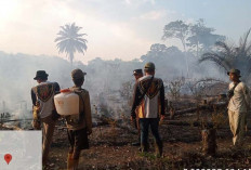 BPBD Muba Berhasil Padamkan Kebakaran Kebun Seluas 1 Hektar, Ini Lokasinya 