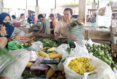 Segini Harga Daging Ayam Potong di Musi Rawas, Pada Juli Pekan ke Empat 