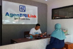 AgenBRILink Dorong Inklusi Keuangan, Bantu Perekonomian Desa 