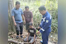 Astaga, Bocah 4 Tahun Mendapat Tindakan Asusila, Tersangka Diamankan Polres Musi Rawas