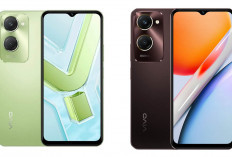 Vivo Y18: Performa Andal untuk Segala Aktivitas