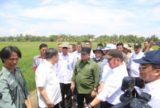 Gubernur Herman Deru Dampingi Reses Komisi IV DPR RI Tinjau Lokasi OPLA Desa Srimenanti Tanjung Lago Banyuasin