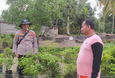 Sinergi Polri dan Masyarakat, Polsek Lalan Kembangkan Program Ketahanan Pangan