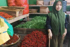  Jelang Nataru, Harga Cabai Merah  Tembus Rp100 Ribu per Kilogram