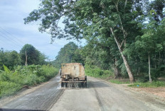 Akses Jalan Sukarami Menuju Desa Tanah Abang Kecamatan Batanghari Leko Nyaris Terputus 