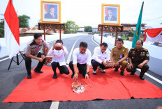 Jembatan Layang Gandus Resmi Dioperasikan Gubernur Herman Deru, Akhiri Derita Banjir dan Macet Warga 