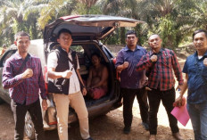 Cabuli 2 Bocah di Bawah Umur, Kakek di Musi Rawas Terancam Penjara