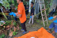 Hasim Tikam Mantan Istri hingga Tewas, Lalu Gantung Diri di Pohon Cempedak  