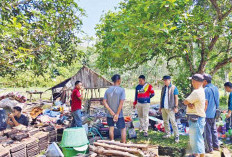 Rumah Rata dengan Tanah Diterjang Badai, Ibu dan Anak di Ulak Jermun Kehilangan Tempat Berlindung
