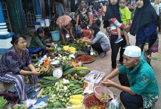 Jelang Akhir Bulan Agustus 2024, Harga Sayuran Masih Stabil dan Bertahan 