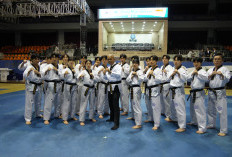  Dedikasi untuk Taekwondo, Reda Manthovani Terima Gelar Grand Master dari Korea