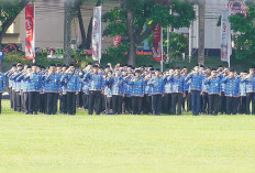 Waduh, Apa Iya, Ada 17 OPD di Pemprov Sumsel Bakal Diganti 