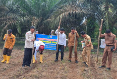 Desa Srigunung Jalankan Program Ketahanan Pangan 2025, Fokus Peternakan Sapi dan Budidaya Jagung