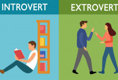 Introvert vs Ekstrovert: Gaya Kerja Mana yang Lebih Sukses?