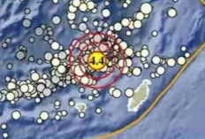 Indonesia Diguncang Rangkaian Gempa: Maluku Tenggara Barat Terkini