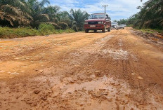 Impian Warga Cinta Damai: Jalan Poros Desa yang Mendambakan Sentuhan Aspal