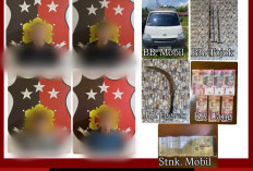 Nekat Curi 1,3 Ton Sawit, Empat Pelaku Diringkus Polsek Sungai Lilin