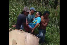 Dua Truk Box Tabrakan di Musi Rawas, Sopir Truk Bibit Ayam Luka di Kepala