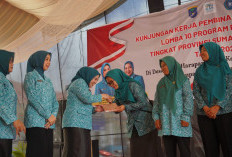 Lidyawati: Dasawisma Ujung Tombak Kesejahteraan Keluarga, PKK OKI Siap Revitalisasi