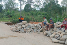 Percepat Perbaikan Jalan Longsor, Pasang Bronjong